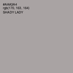 #AAA3A4 - Shady Lady Color Image